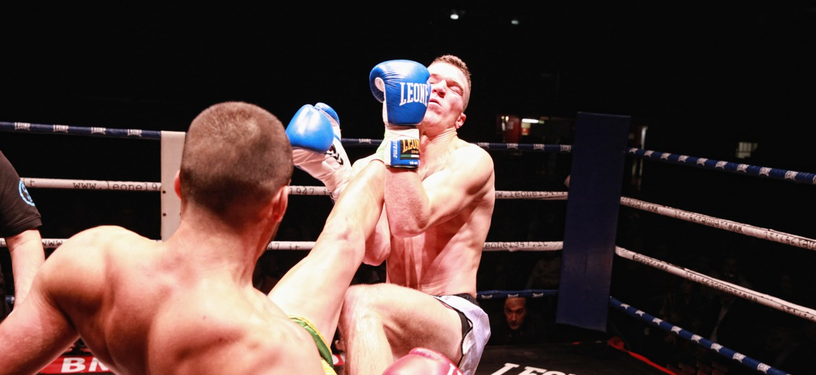 MMA Predictions Understanding the Fight Game Through Analysis, Strategy, and Intuition